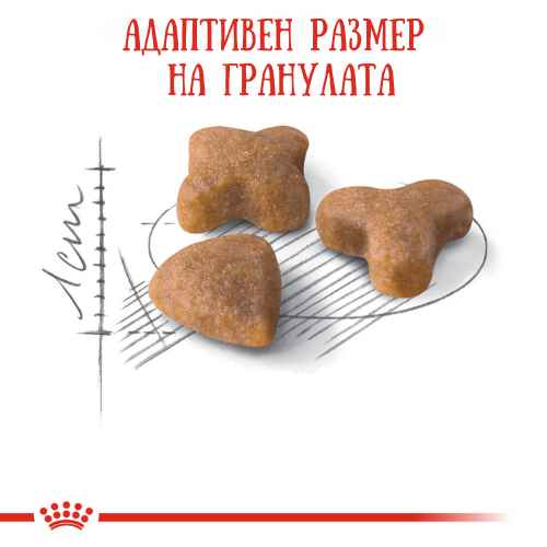 Royal Canin Sensible, Xрана за котки с храносмилателни проблеми